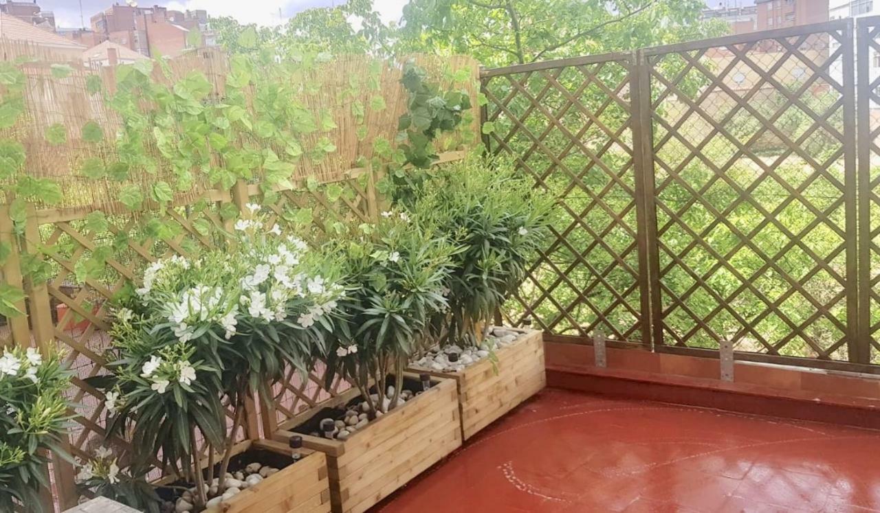 Apartamento San Quirce - Centrico Y Reformado- Wifi Y Netflix 巴利亚多利德 外观 照片