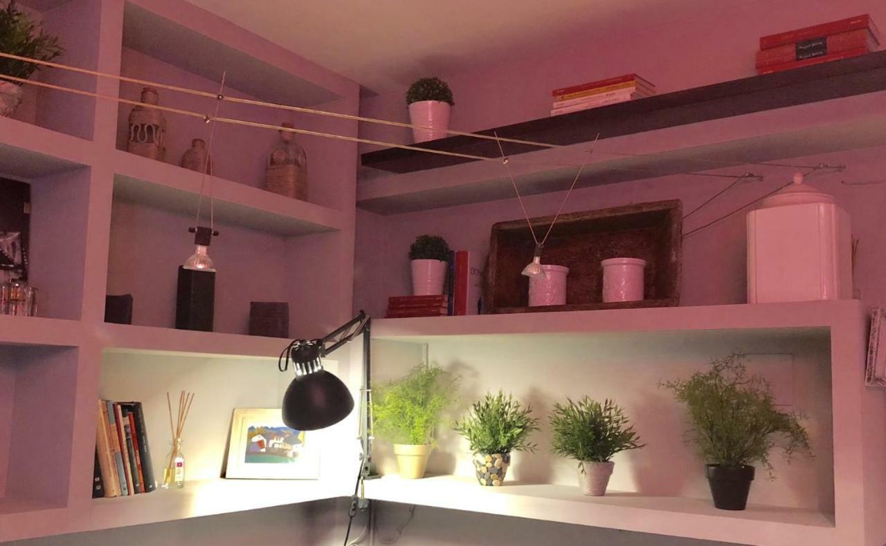 Apartamento San Quirce - Centrico Y Reformado- Wifi Y Netflix 巴利亚多利德 外观 照片